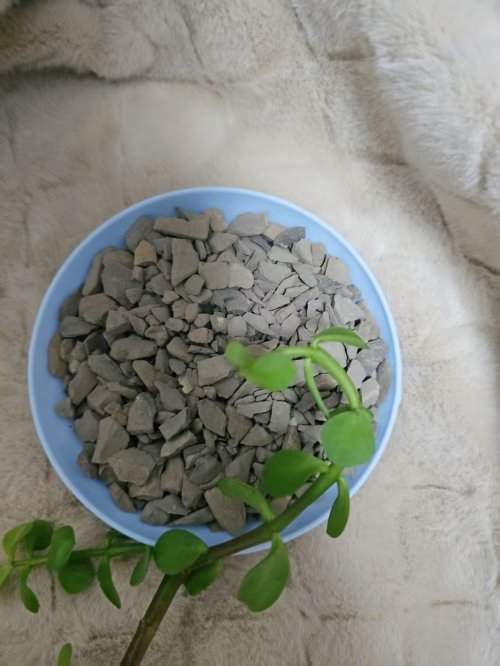 2025年除甲醛产品效果测评：新房装修后，快速治理污染并去除味道的方法