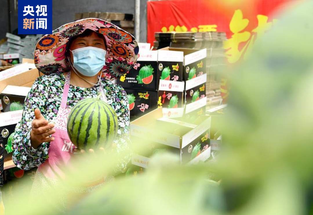 拍拍西瓜，就能月入过万？