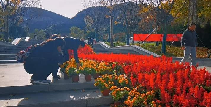 济南这一景区鲜花撤展，市民欣喜“领养”花卉带回家