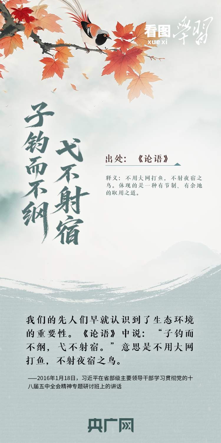 看图学习·和谐共生丨总书记用这些古语阐释自然之道