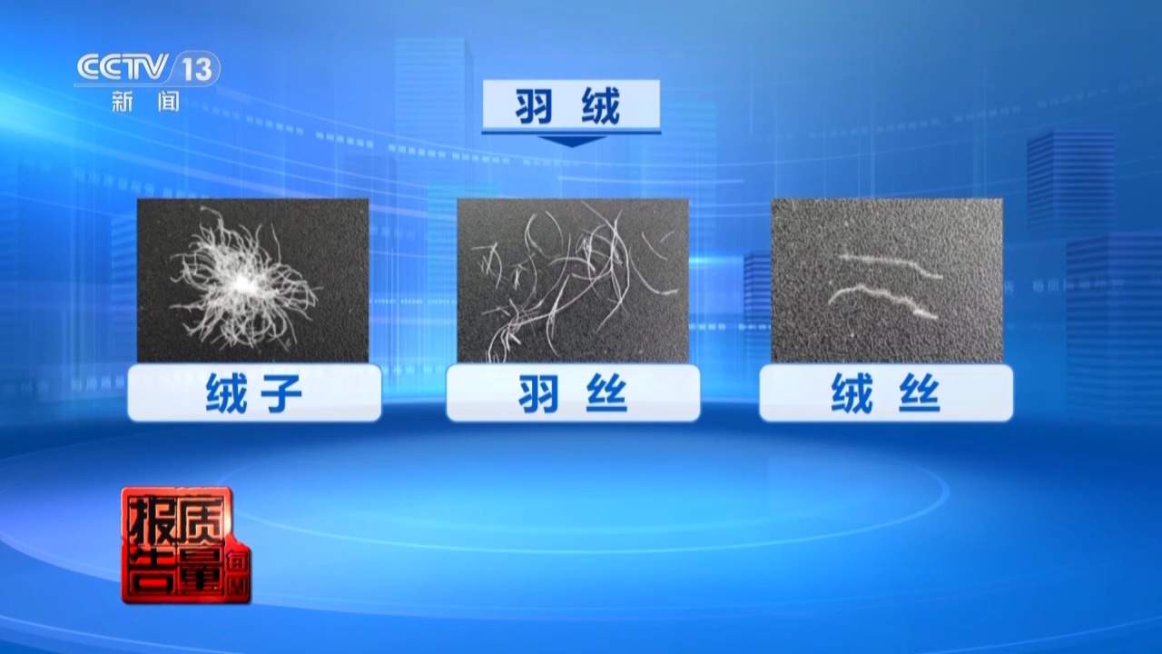 每周质量报告丨多个品牌儿童羽绒服不符合国家标准要求 专家教你如何科学选购