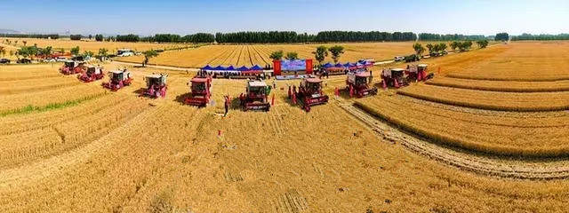 趵眼丨三年紧盯同一件事，济南的村变了！