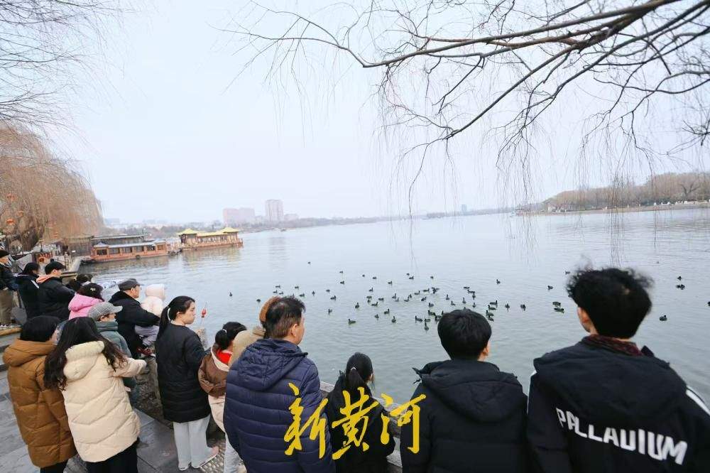 泉城升温，白骨顶鸡湖中嬉戏