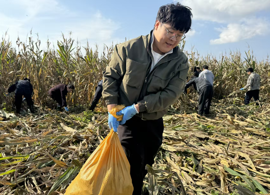 躬身田野守护“齐鲁粮仓” 农行济南分行全力保障“三秋”生产彰显金融担当