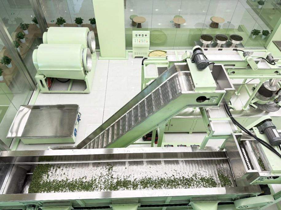 开局之年看中国·解码“产业大脑”｜数字赋能一片绿叶！日照精制茶加工产业大脑助推茶产业高质量发展