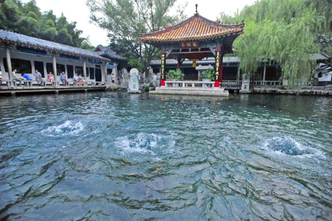 济南想要的，不只是你的“金点子”！