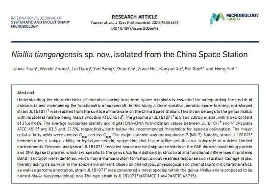 首次公布！我国空间站内发现微生物新物种