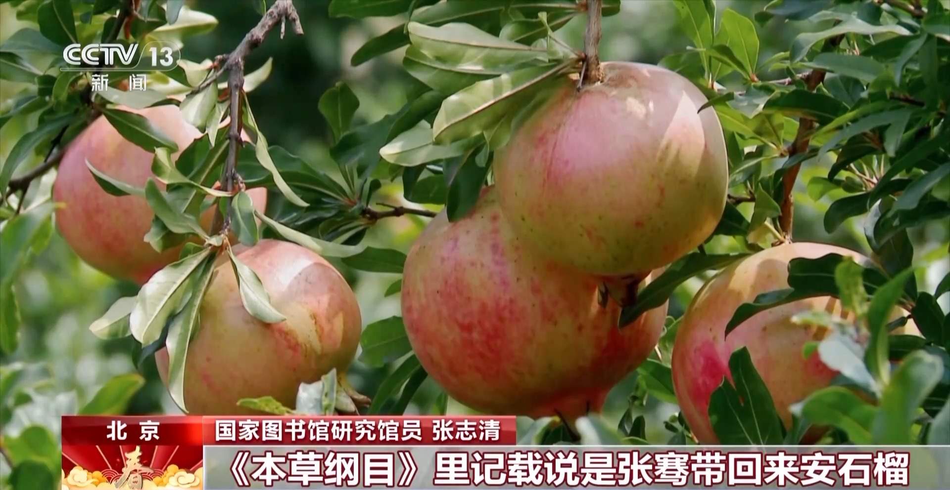 “十二花神”是如何选出的?来看看《贺花神》幕后的故事