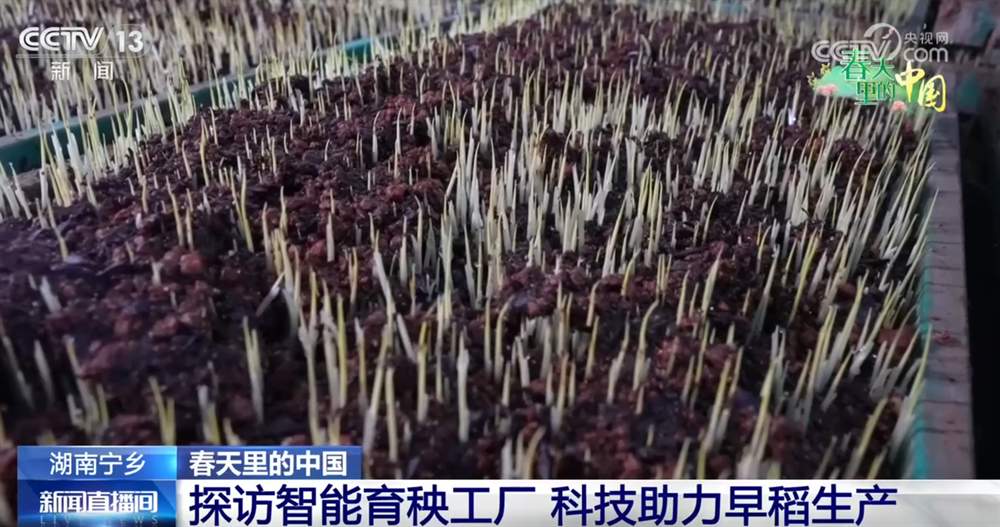 科技加持让春耕春管奏响“交响曲” 现代农业向新向优为好“丰”景筑牢根基