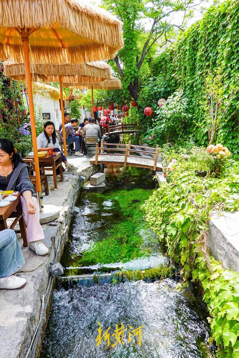 “家家泉水”触手可及，济南这处名泉老院开门迎客