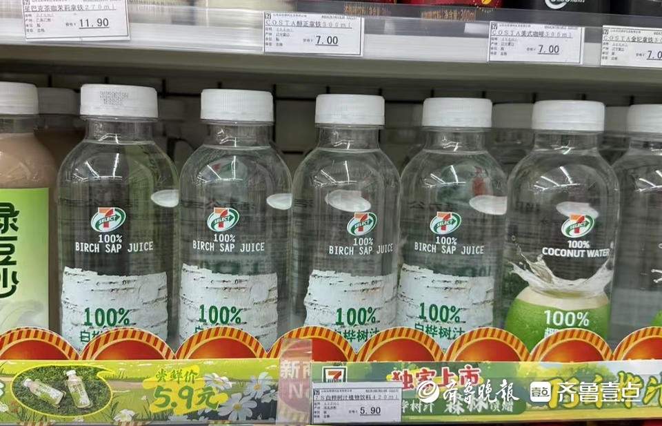 在济南悄然走红 被“捧上神坛”的白桦树汁