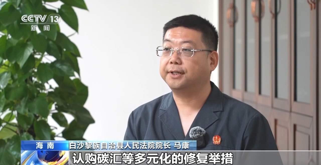 结伙徒步进山 多次在国家公园盗伐珍贵名木 26人被判刑