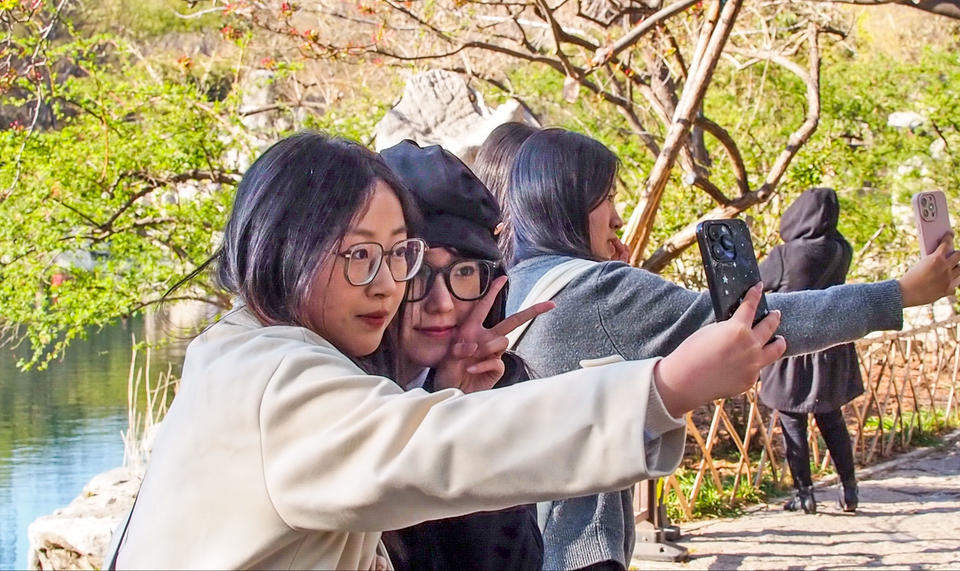 春分要来暖风吹，济南泉边大面积海棠花含苞待放