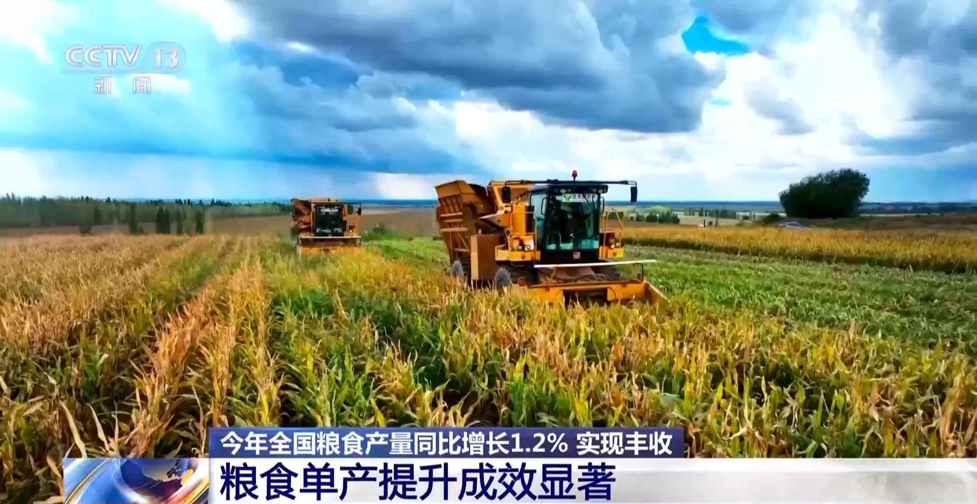 粮食产量再创新高!解锁大国粮仓的丰收“密码”