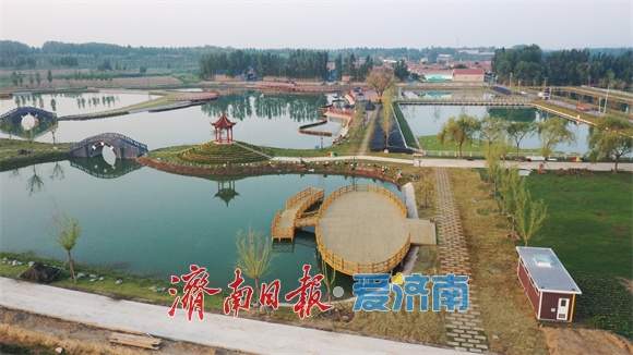 济阳：奋力绘就连片共兴和美乡村新图景