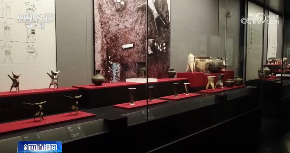 科技考古印证二里头遗址铜矿来自晋南 青铜时代先民或已栽培本土葡萄属植物