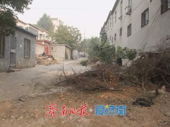 城“新”乡“兴” 一心一意为百姓造福