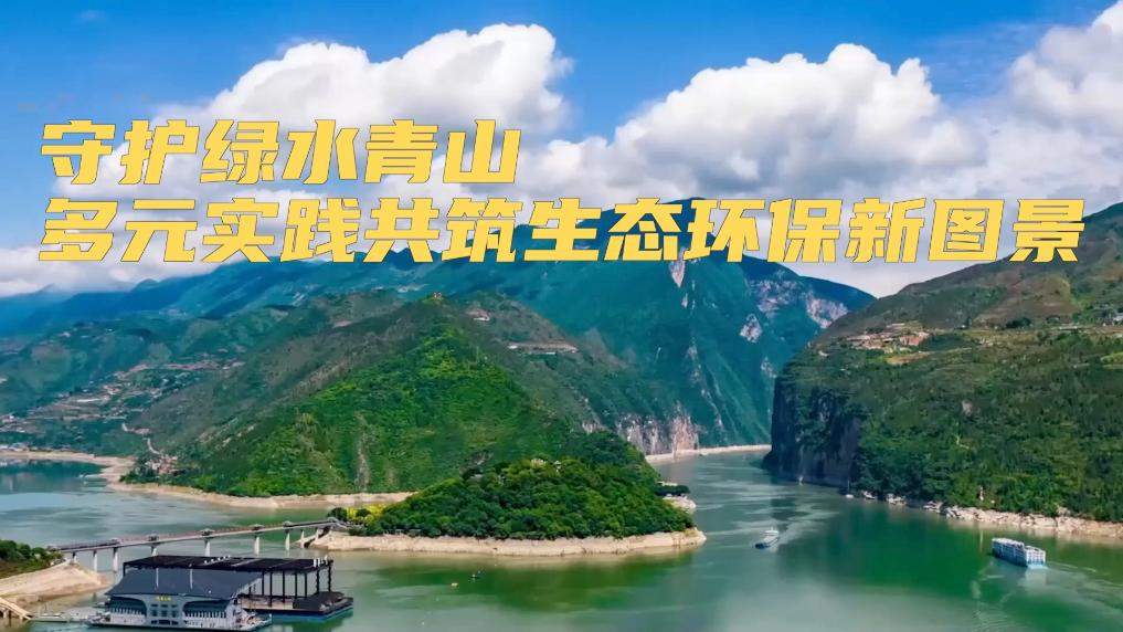 新华视点｜守护绿水青山 多元实践共筑生态环保新图景