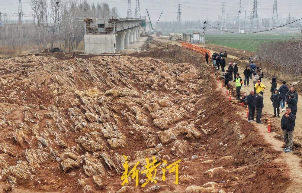 济枣铁路宁阳段发现“石海”，吸引众人“打卡”