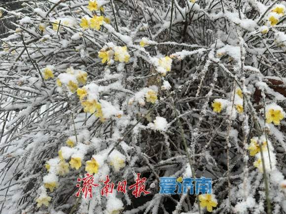 暴雪橙警+道路结冰红预警！济南降雪将于21时前后结束，降雪量10～20毫米