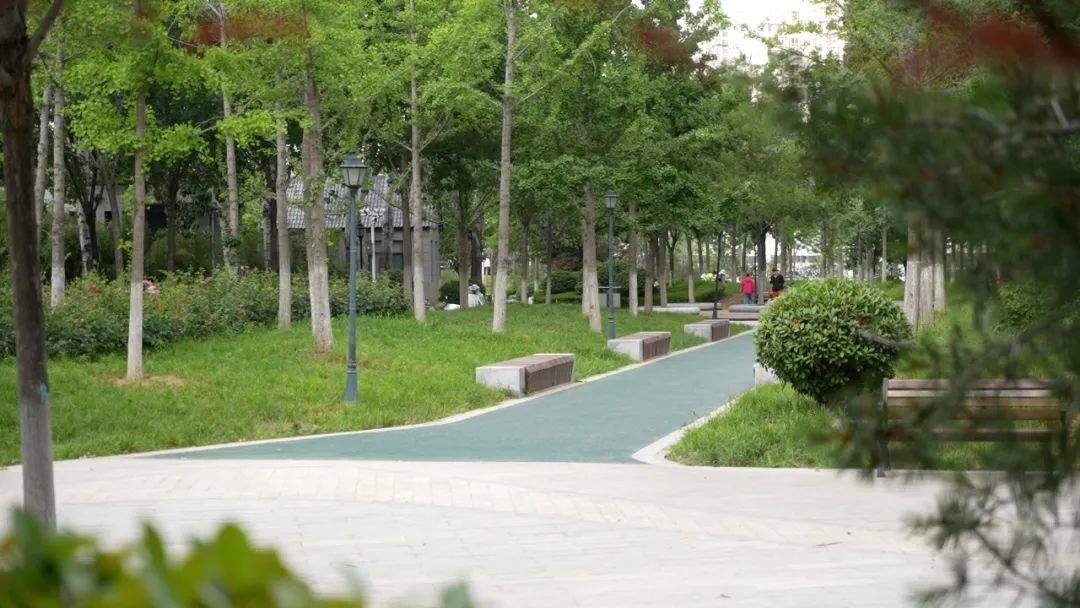 济南工业南路绿道焕新：9.5公里 “会呼吸” 的风景线 重构市民慢行生活