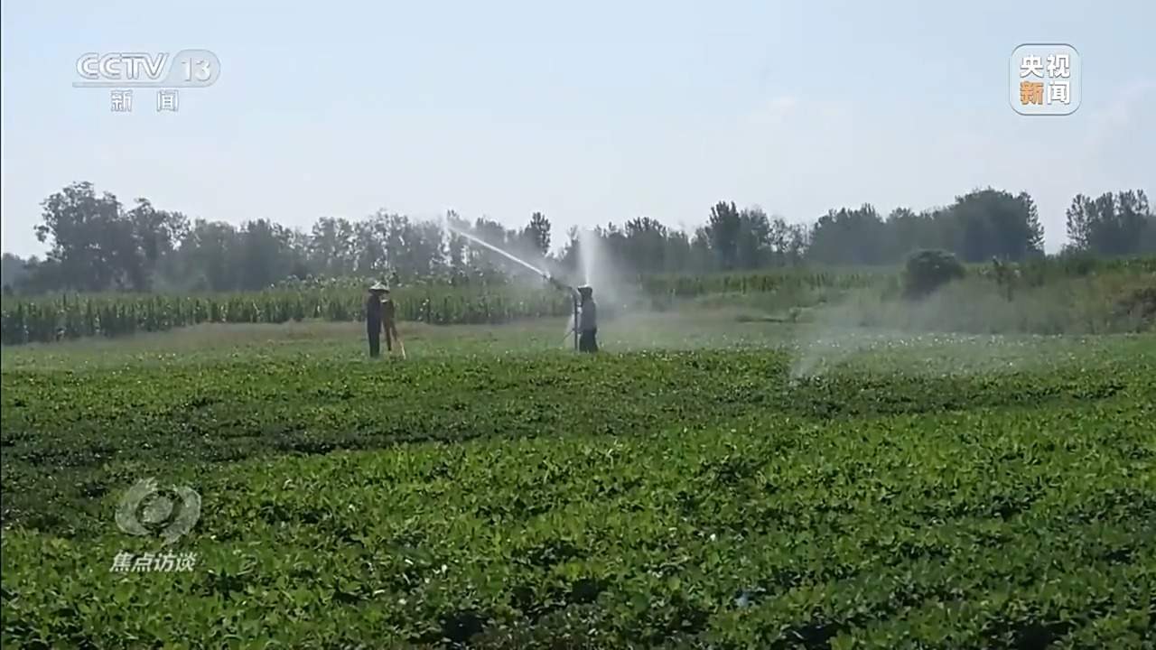 从抗旱到抢收 解读粮食增产背后的“密码”