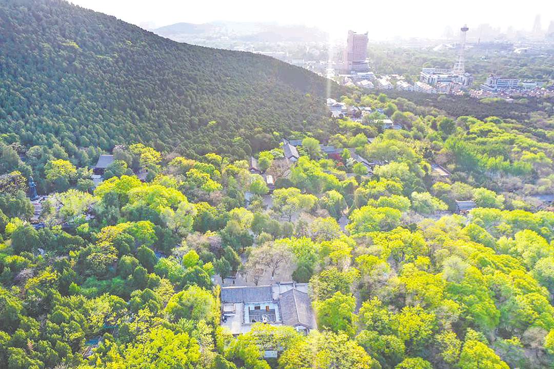 山东这4个地方，因何入选全国城市更新典型案例？请看深度观察