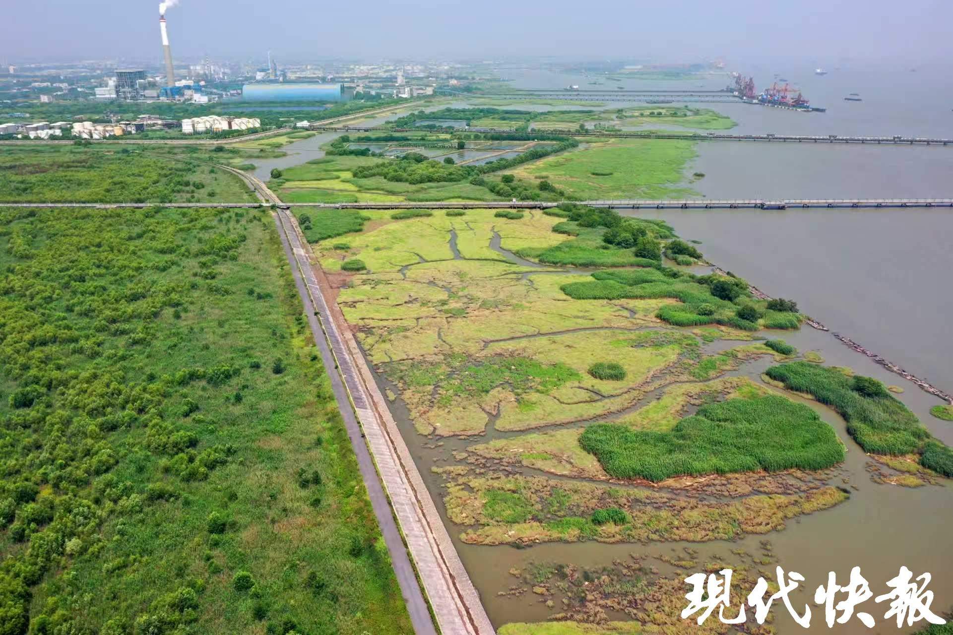 长江十年行｜退一步，进十年！江苏沿江这样硬核“换芯”