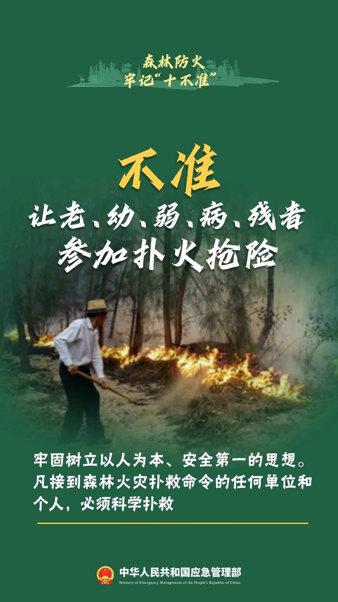 违规野外用火危害大森林防火十不准一定要牢记