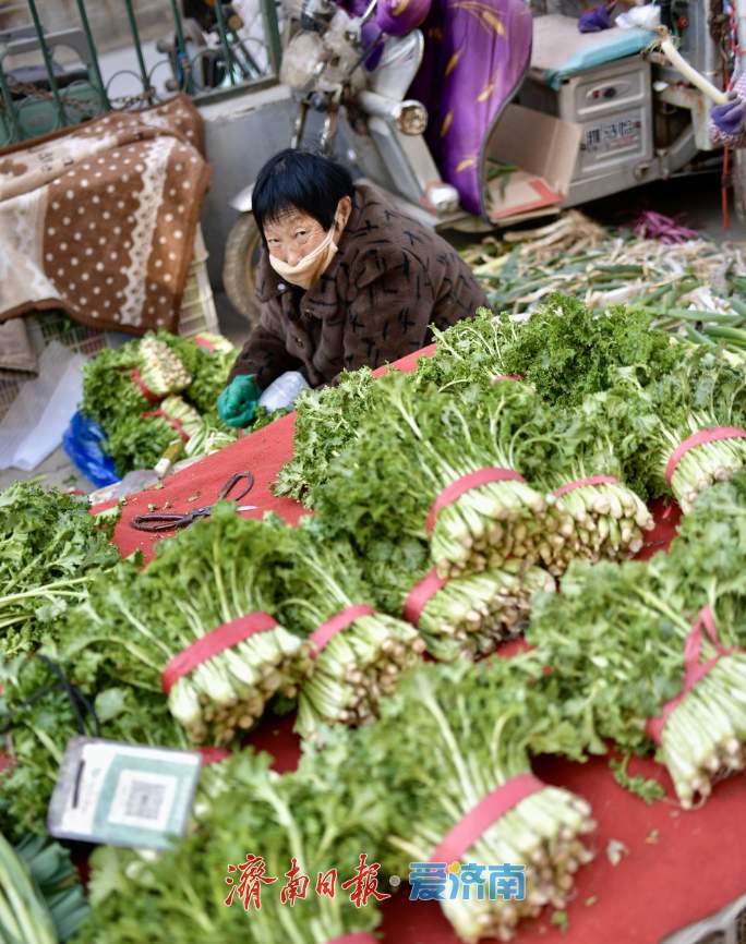 春菜“抢鲜”上市，菜市场满是春天的味道