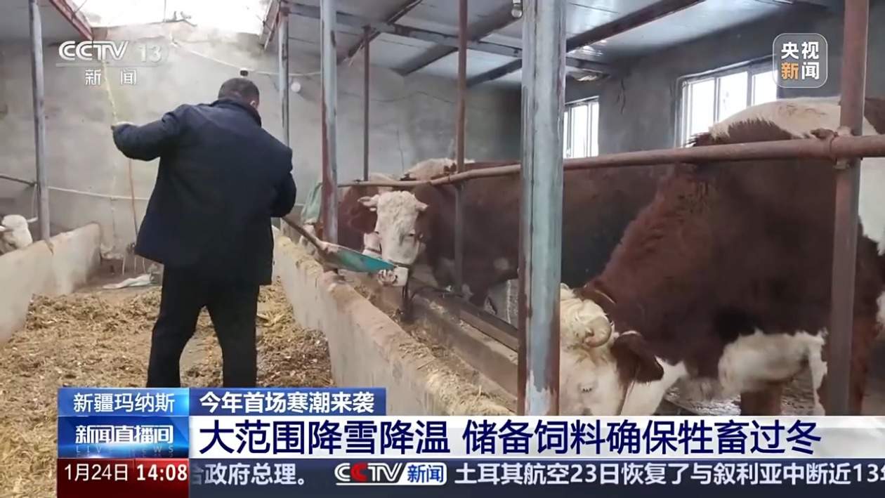 提醒注意防寒保暖 今年首场寒潮来袭 多地将剧烈降温