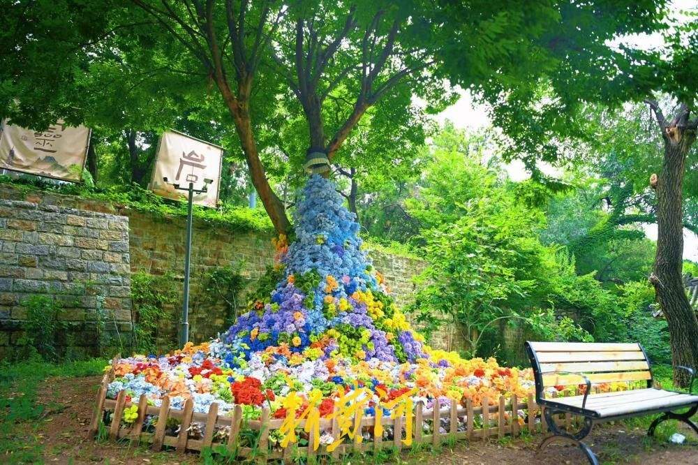 花艺新景扮靓灵岩古寺，荷景花瀑绘就山林消暑画卷