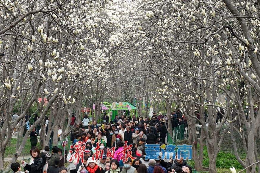 一年四季 泉在济南丨一图在手，乘地铁游泉城