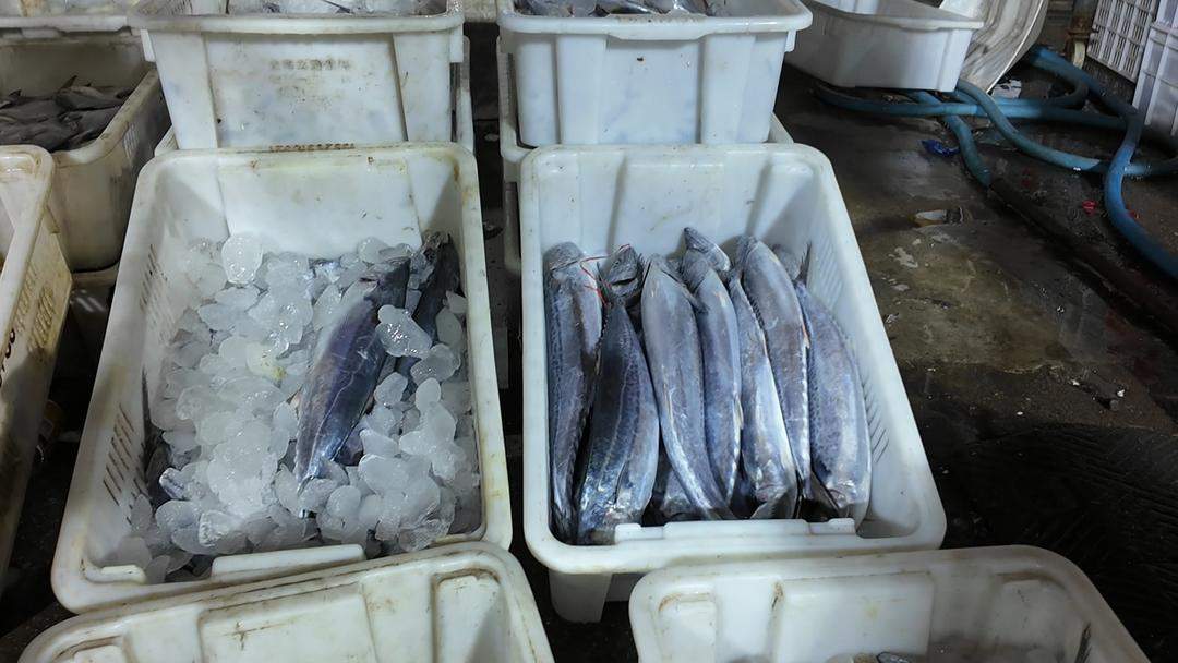 济南迎“开海第一网”:台风致鲜货晚到一日,凌晨市场交易火爆