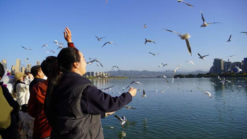 行进中国丨从“幸福园”到“幸福城”