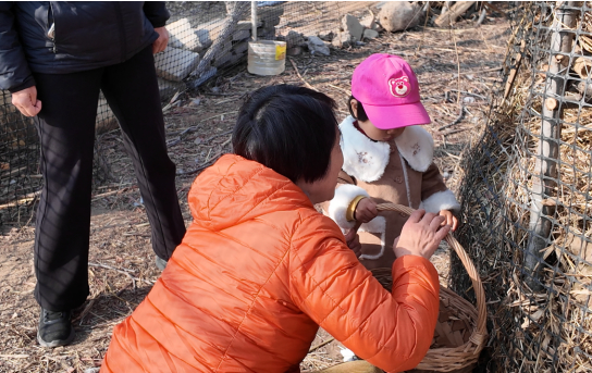 融媒·见证丨种得出好菜，治得了污染，兴得起经济——小虫子撬动大产业