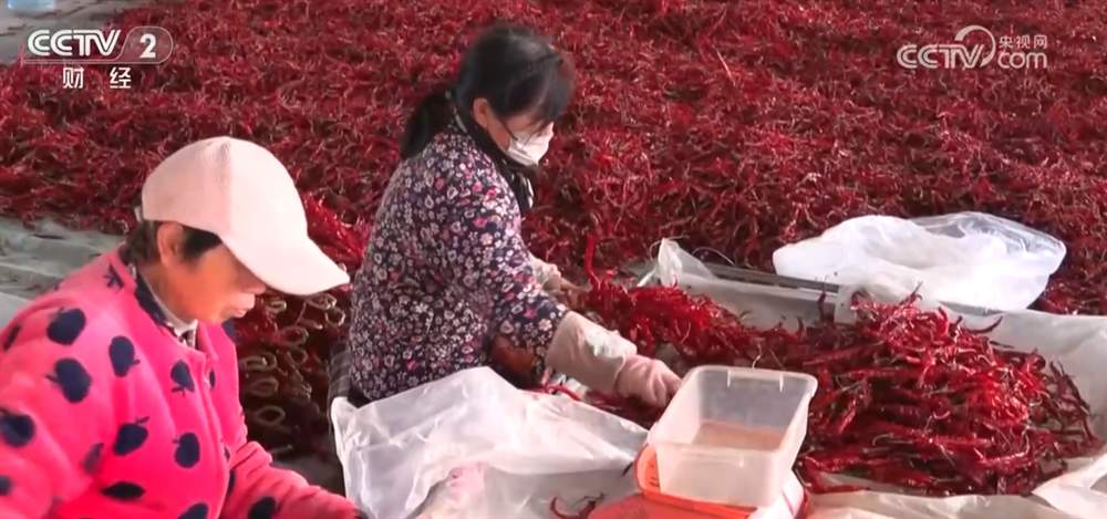 居民“菜篮子”持续上新供应足 新年消费市场红红火火“热气腾腾”