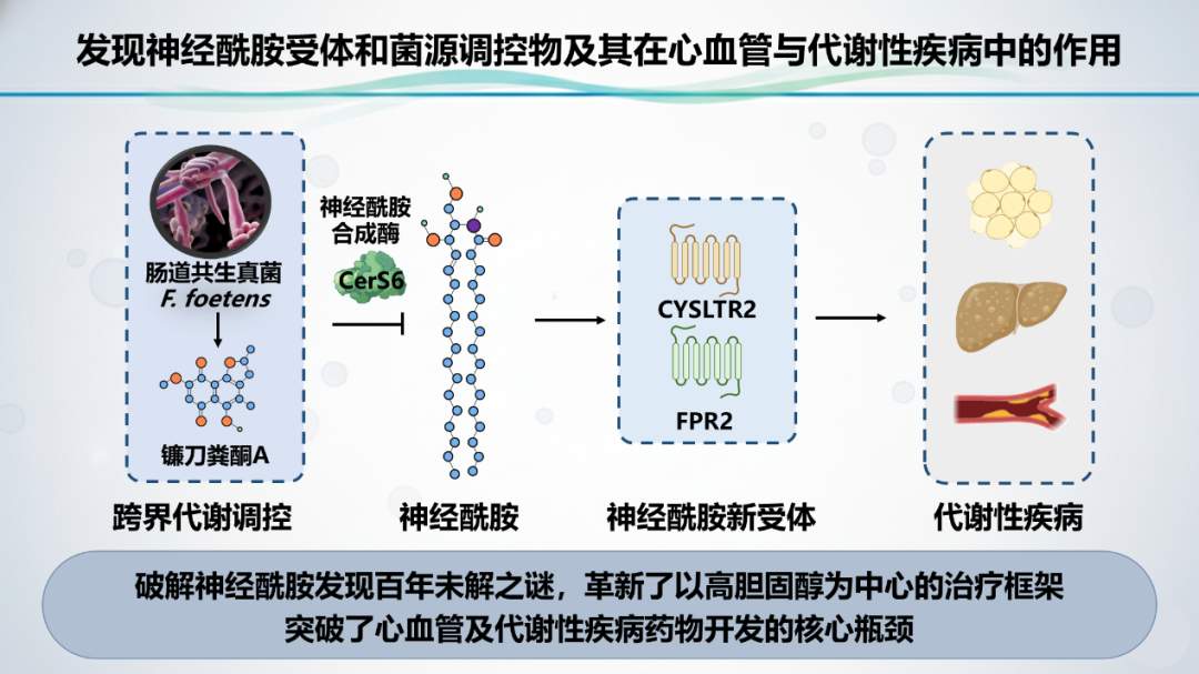 重磅!山大成果入选“中国科学十大进展”