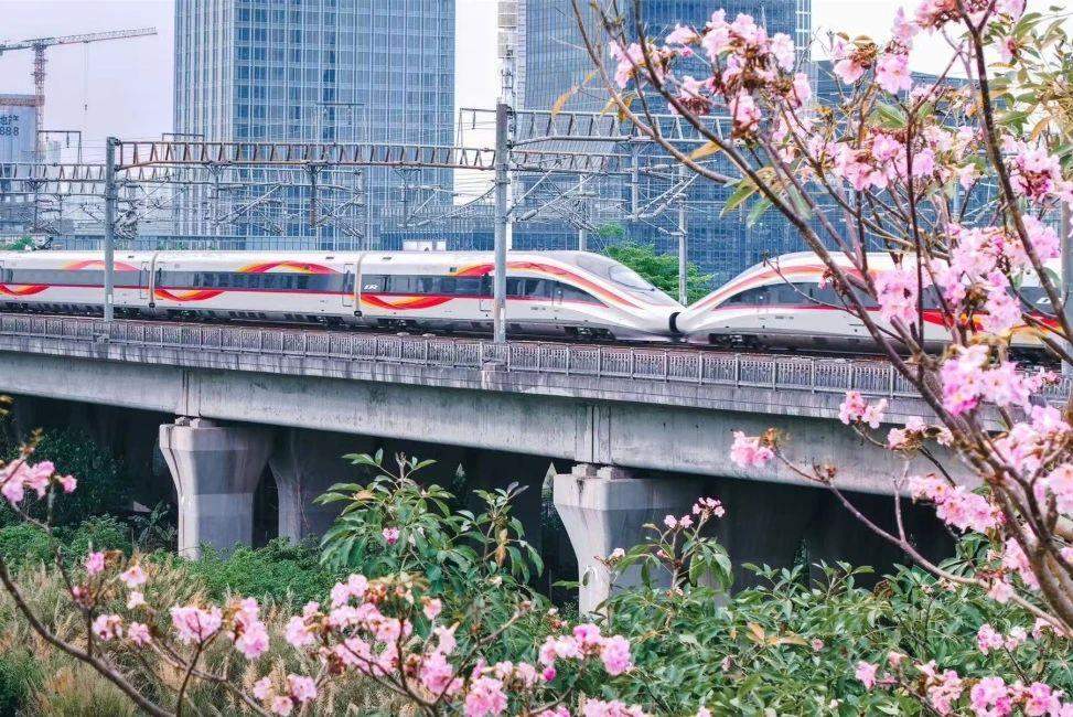 创历史同期新高 一季度全国铁路发送旅客超10亿人次