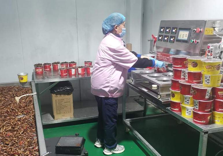 开局“十五五” 奋斗正当时丨不搞“一刀切”,只开“个性锁”!一村一产让薄弱村个个有奔头