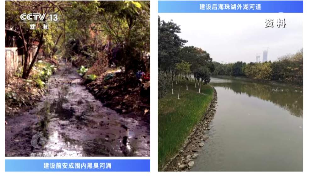 焦点访谈｜书写生态答卷，各地交出亮眼“绿色成绩单”