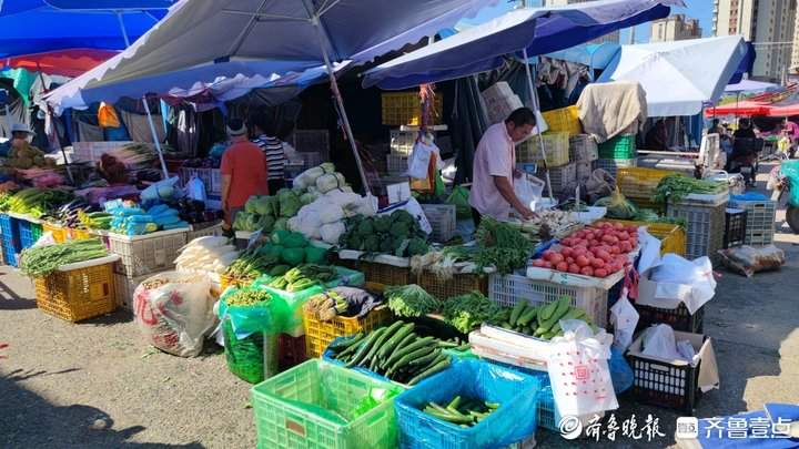 有青叶菜单价破十！济南多种蔬菜价格上涨，何时变回“家常菜”？