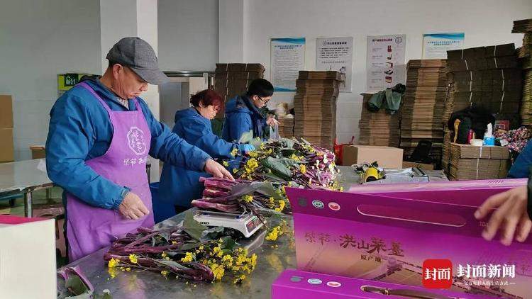 吃了能成仙？两根菜薹喊价18888元！商家回应