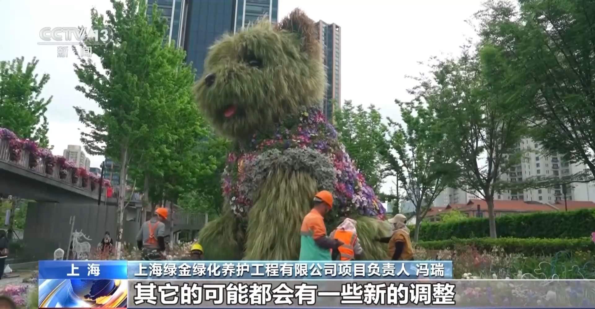 上海“潦草小狗”绿植延展3个月 下月将换新装