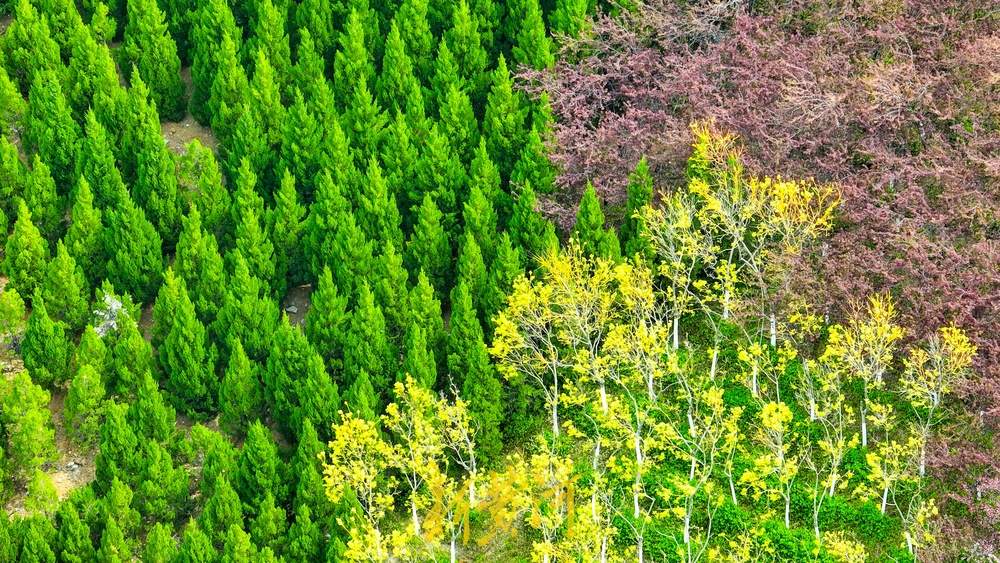 济南这处渣土山披绿变公园，成登山休闲好去处