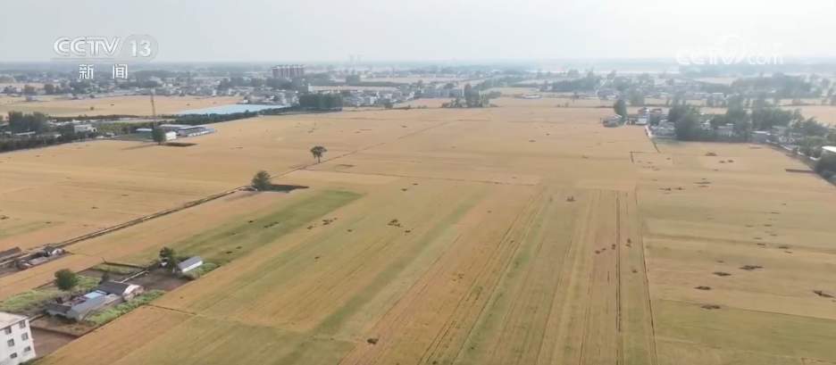 智能农机“唱主角” 希望的田野描绘好“丰”景