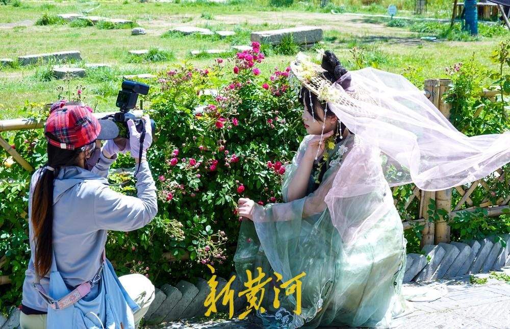老城区新晋花墙打卡点  解锁济南初夏浪漫