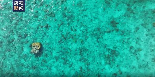 环境质量优!《黄岩岛海域生态环境状况调查评估报告》发布