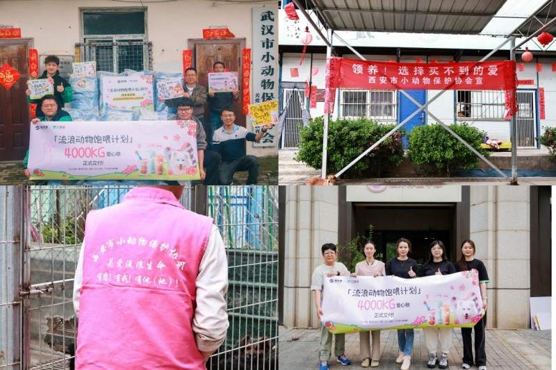 流浪动物救助的“毛细血管”：益禾堂五城六站公益行动纪实
