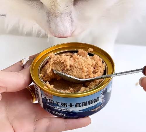 2026年1月高性价比猫罐头推荐：产品标准达标+营养搭配分析